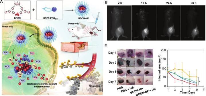 https://cdn.ncbi.nlm.nih.gov/pmc/blobs/2383/12188483/bc31888e1798/im4c00108_0008.jpg