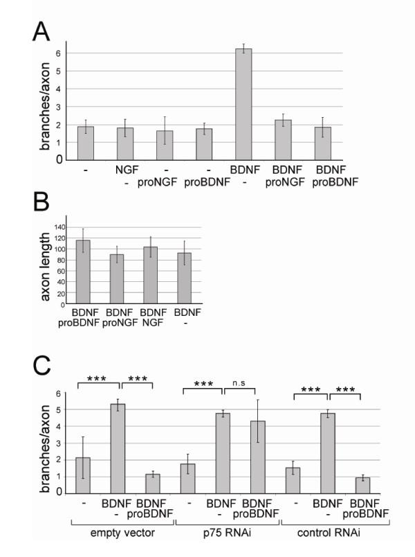 https://cdn.ncbi.nlm.nih.gov/pmc/blobs/2383/2987844/5989b3620992/1749-8104-5-30-5.jpg