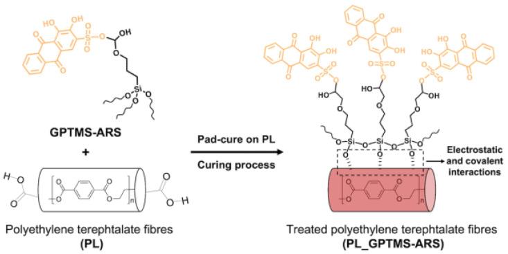 https://cdn.ncbi.nlm.nih.gov/pmc/blobs/2386/10255420/1cb56e682eb9/polymers-15-02517-g015.jpg