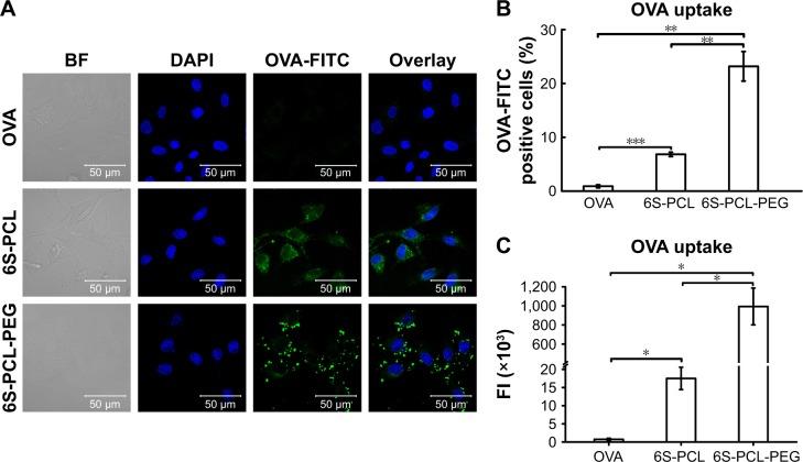 https://cdn.ncbi.nlm.nih.gov/pmc/blobs/2386/5951147/3603e083d4d1/ijn-13-2743Fig6.jpg
