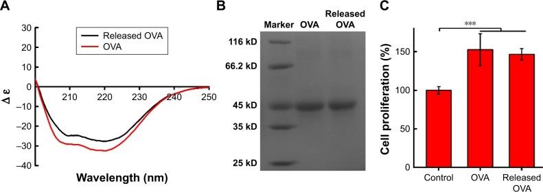 https://cdn.ncbi.nlm.nih.gov/pmc/blobs/2386/5951147/edd19a4253c5/ijn-13-2743Fig5.jpg