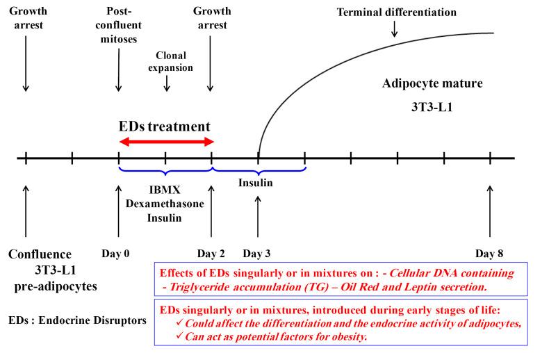 https://cdn.ncbi.nlm.nih.gov/pmc/blobs/238a/8494257/6a6121310594/bi-11-289-g001.jpg