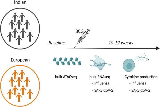 https://cdn.ncbi.nlm.nih.gov/pmc/blobs/238c/10100912/0668df56251a/spectrum.00231-23-f001.jpg