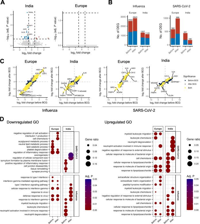 https://cdn.ncbi.nlm.nih.gov/pmc/blobs/238c/10100912/14a216518d2f/spectrum.00231-23-f005.jpg