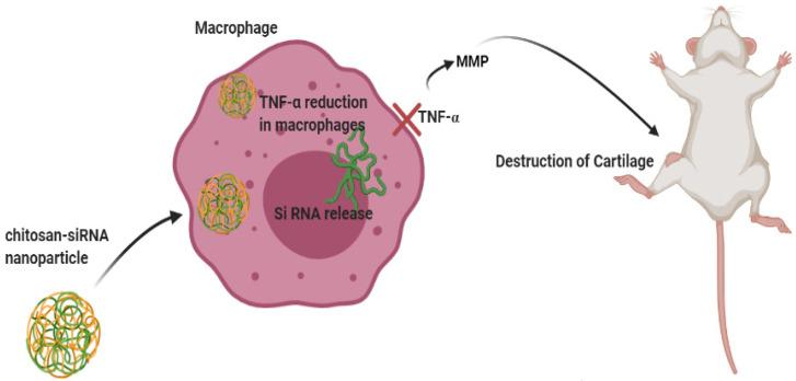 https://cdn.ncbi.nlm.nih.gov/pmc/blobs/238c/8002885/a969094ac01a/ijms-22-03092-g003.jpg