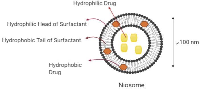 https://cdn.ncbi.nlm.nih.gov/pmc/blobs/238c/8002885/bd78d8319d7f/ijms-22-03092-g004.jpg