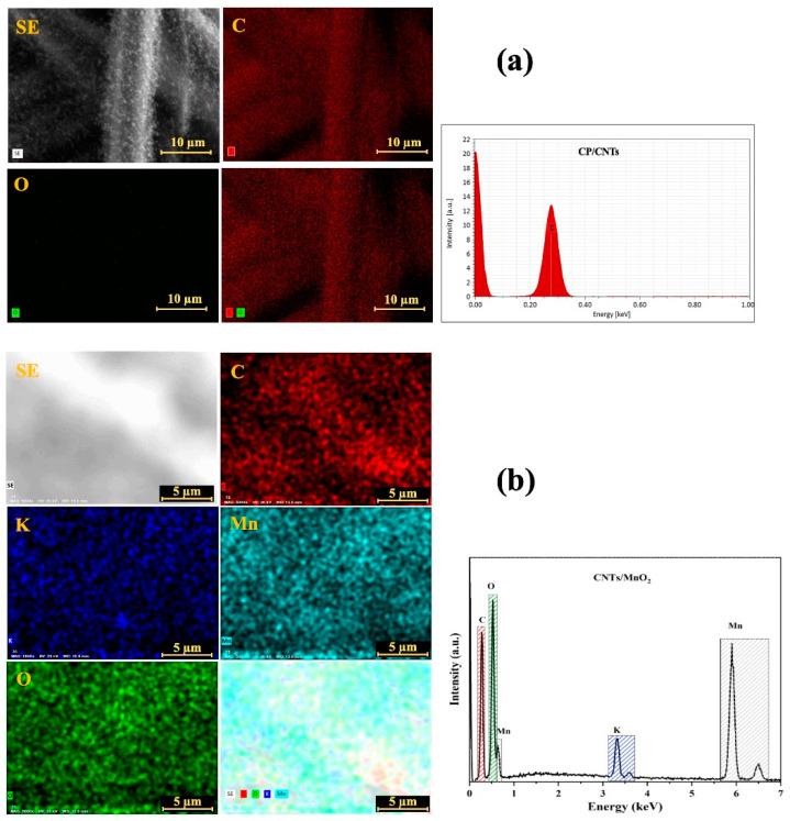 https://cdn.ncbi.nlm.nih.gov/pmc/blobs/238e/12025318/29965c0cdbf0/biosensors-15-00215-g003.jpg