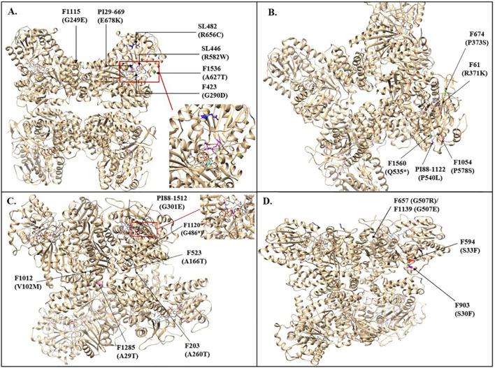 https://cdn.ncbi.nlm.nih.gov/pmc/blobs/238f/12239747/5ff0e60a0b30/fpls-16-1606321-g005.jpg