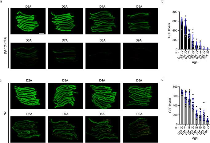 https://cdn.ncbi.nlm.nih.gov/pmc/blobs/2390/11531548/574a197883ca/41467_2024_53887_Fig1_HTML.jpg