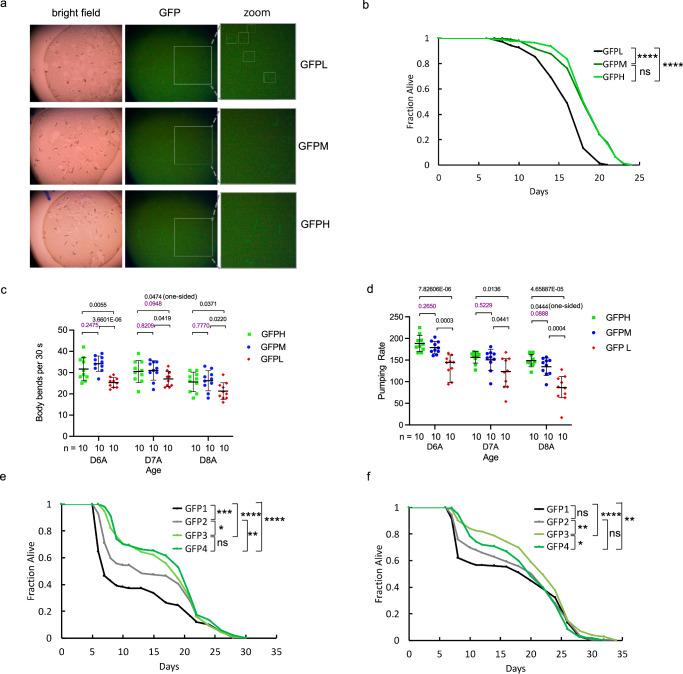 https://cdn.ncbi.nlm.nih.gov/pmc/blobs/2390/11531548/a3d26c36bb53/41467_2024_53887_Fig2_HTML.jpg