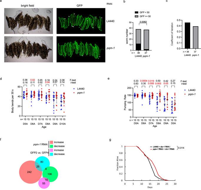 https://cdn.ncbi.nlm.nih.gov/pmc/blobs/2390/11531548/fbb8490c7ec5/41467_2024_53887_Fig6_HTML.jpg