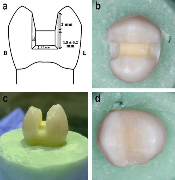https://cdn.ncbi.nlm.nih.gov/pmc/blobs/2391/11673807/833443477999/12903_2024_5180_Fig1_HTML.jpg