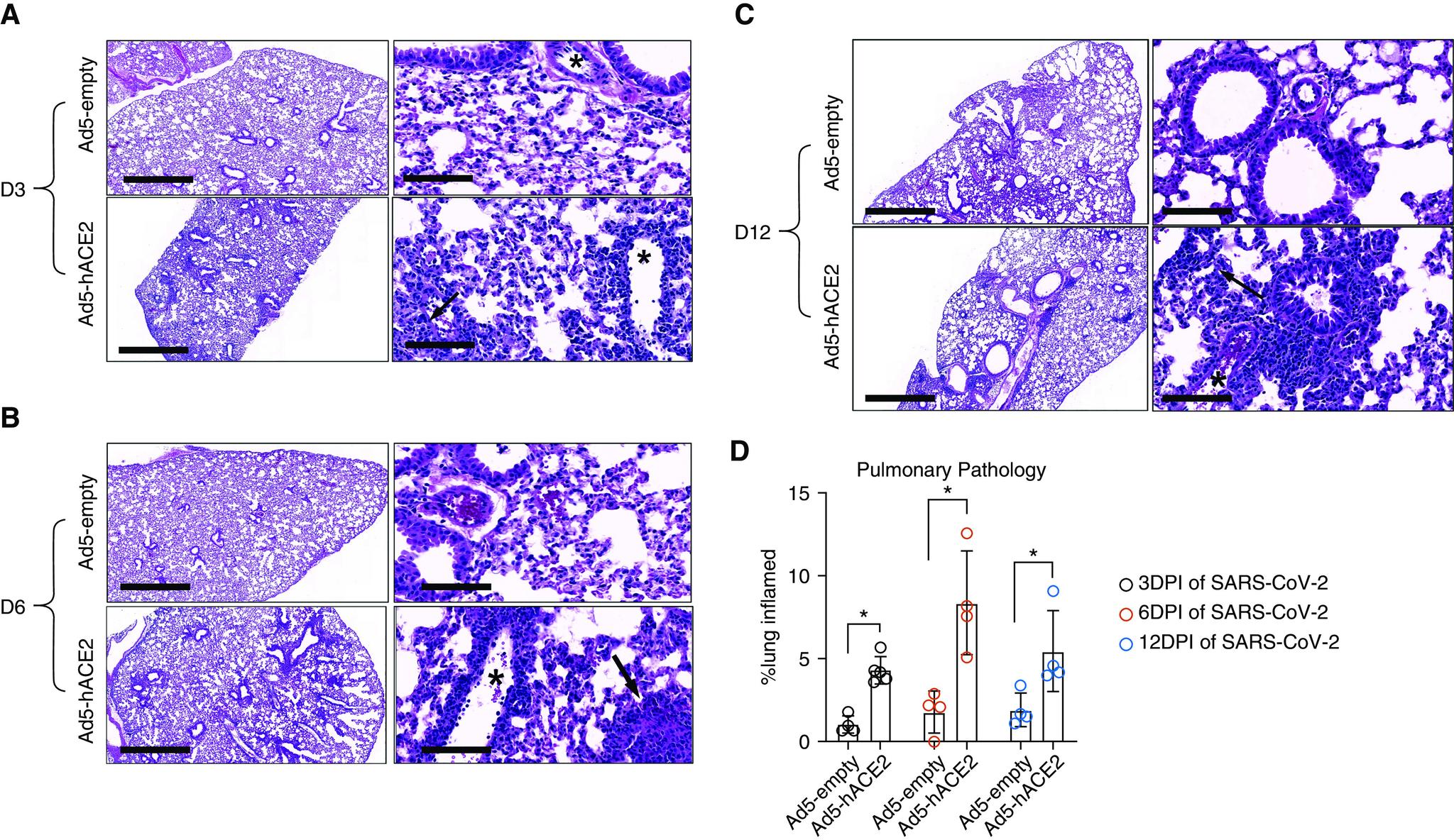 https://cdn.ncbi.nlm.nih.gov/pmc/blobs/2391/7781002/015fcf5b3d6b/rcmb.2020-0354OCf3.jpg