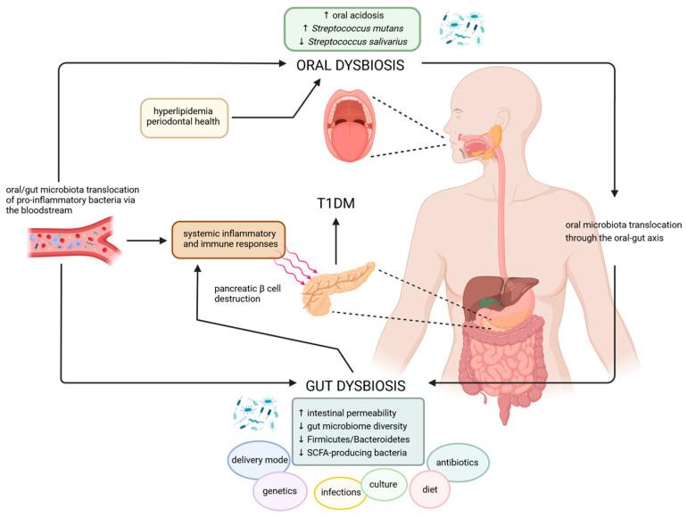 https://cdn.ncbi.nlm.nih.gov/pmc/blobs/2392/11477131/77d52288d680/ijms-25-10611-g003.jpg