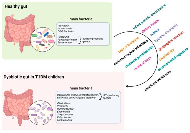 https://cdn.ncbi.nlm.nih.gov/pmc/blobs/2392/11477131/7dacd70b463d/ijms-25-10611-g001.jpg