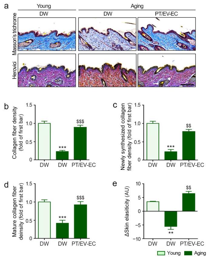 https://cdn.ncbi.nlm.nih.gov/pmc/blobs/2394/11123375/beb85ea623a9/marinedrugs-22-00223-g007.jpg
