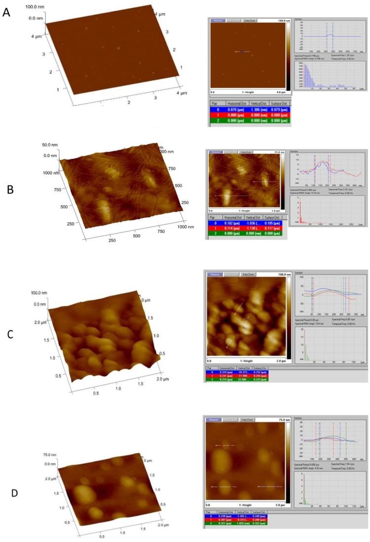 https://cdn.ncbi.nlm.nih.gov/pmc/blobs/2396/6781949/67a067bbb4bc/IJN-14-8033-g0010.jpg