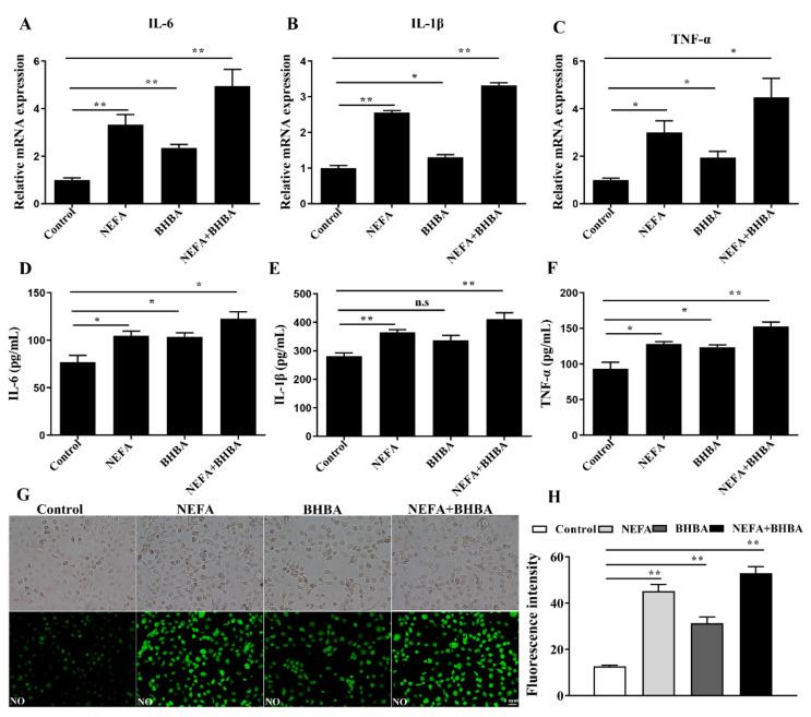 https://cdn.ncbi.nlm.nih.gov/pmc/blobs/2396/9696823/22c9ba6dbec4/metabolites-12-01060-g004.jpg