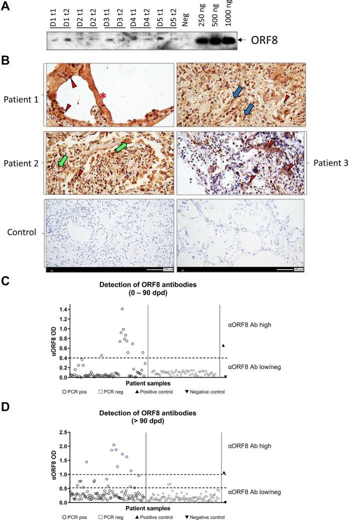 https://cdn.ncbi.nlm.nih.gov/pmc/blobs/239c/11181941/689f305da1f6/mjad062fig6.jpg