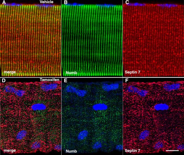 https://cdn.ncbi.nlm.nih.gov/pmc/blobs/239d/11065422/349dea7bd70b/elife-89424-fig8.jpg