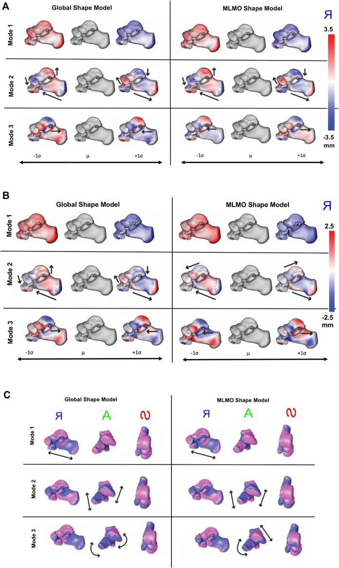 https://cdn.ncbi.nlm.nih.gov/pmc/blobs/239d/9978224/dc2a8552922f/fbioe-11-1089113-g008.jpg