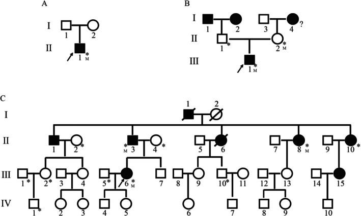 https://cdn.ncbi.nlm.nih.gov/pmc/blobs/23a0/12245724/85883360ea83/JDB-17-e70114-g005.jpg