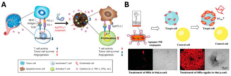 https://cdn.ncbi.nlm.nih.gov/pmc/blobs/23a3/12024714/d243128a37e8/biosensors-15-00232-g007.jpg