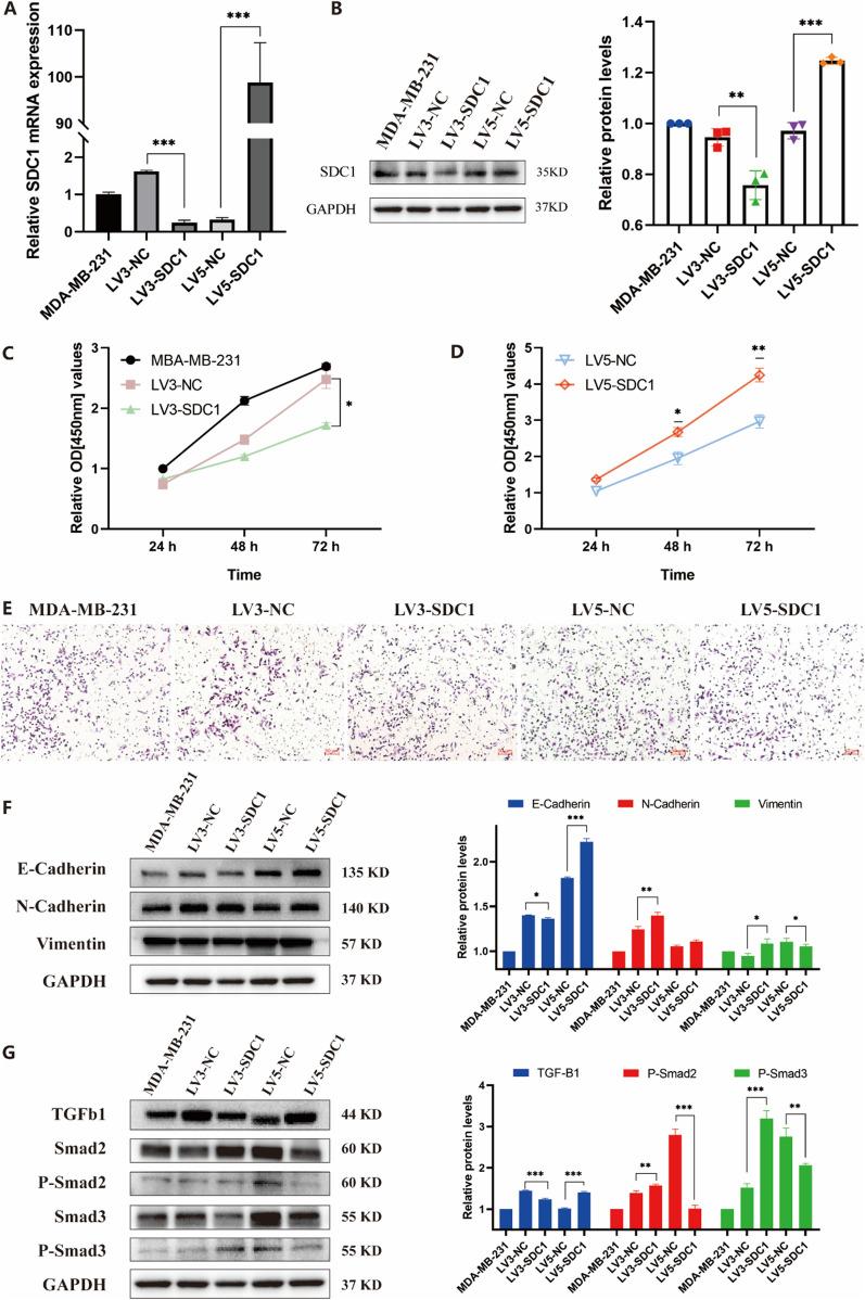 https://cdn.ncbi.nlm.nih.gov/pmc/blobs/23a5/10111802/196b4eefba58/12935_2023_2917_Fig6_HTML.jpg