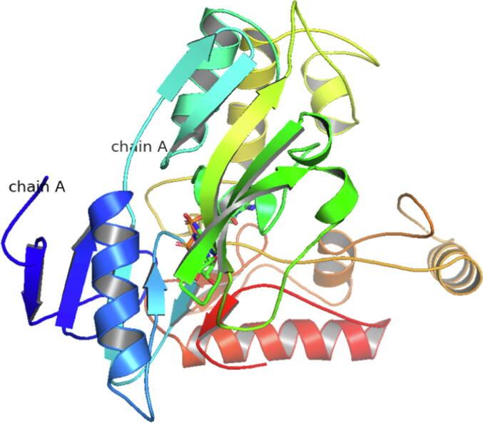 https://cdn.ncbi.nlm.nih.gov/pmc/blobs/23a5/10362793/7a760b9f6957/gr2.jpg