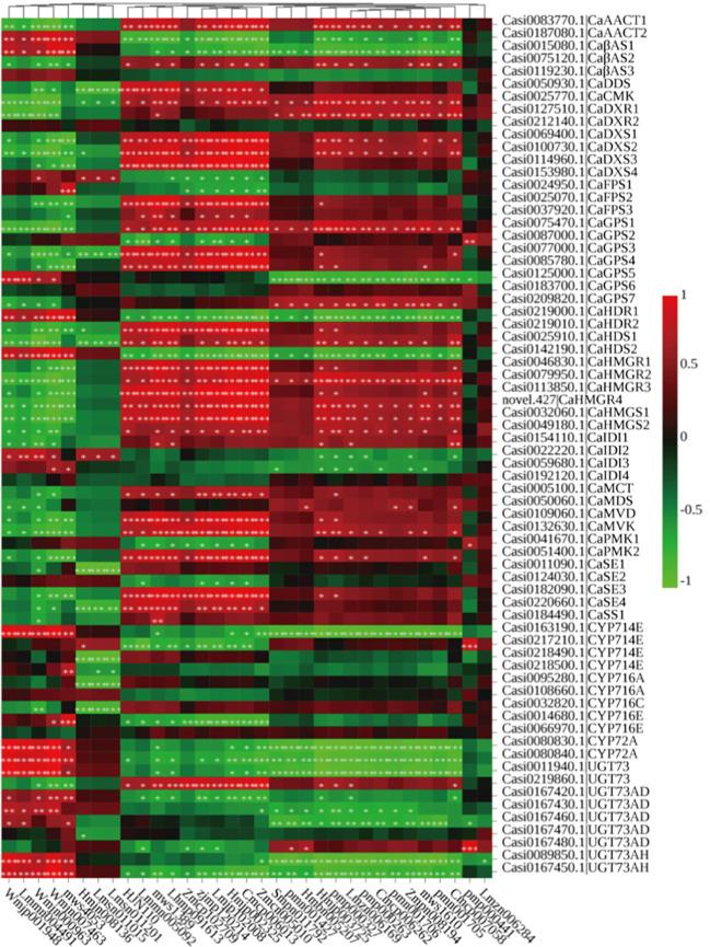 https://cdn.ncbi.nlm.nih.gov/pmc/blobs/23a6/10811118/af692f0845d0/fpls-14-1295186-g005.jpg