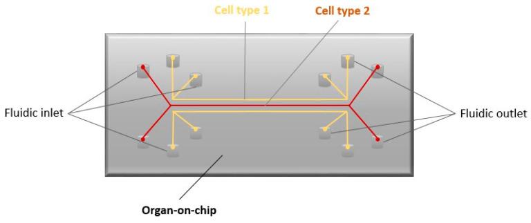 https://cdn.ncbi.nlm.nih.gov/pmc/blobs/23a6/10967872/8949e5e42187/biomimetics-09-00169-g004.jpg