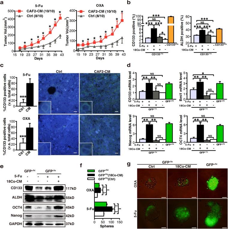 https://cdn.ncbi.nlm.nih.gov/pmc/blobs/23a6/6756234/2f880bca5d0c/41388_2018_557_Fig1_HTML.jpg