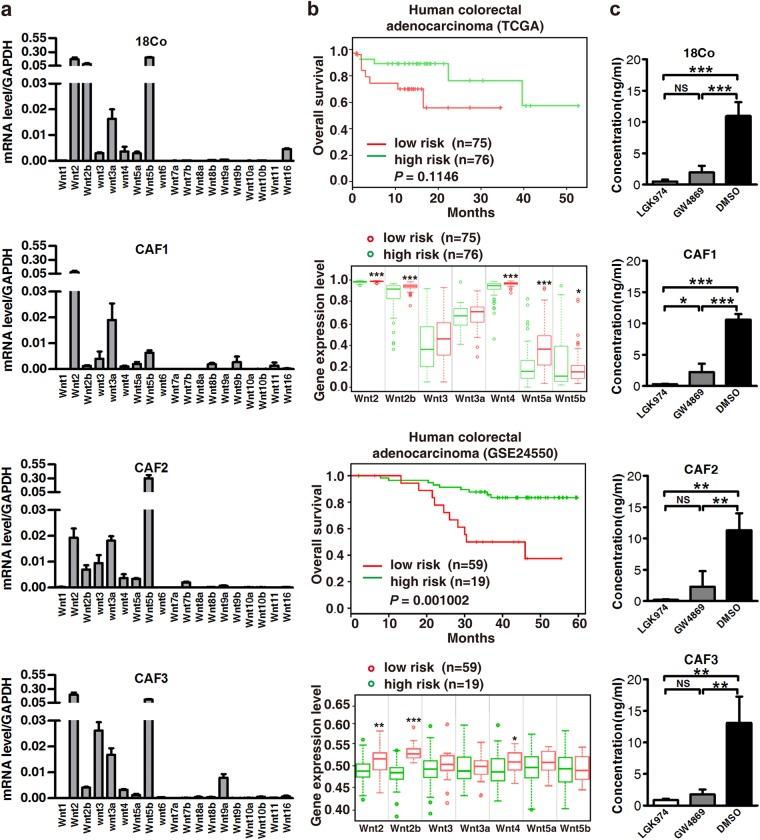 https://cdn.ncbi.nlm.nih.gov/pmc/blobs/23a6/6756234/9b28cc48c7db/41388_2018_557_Fig3_HTML.jpg