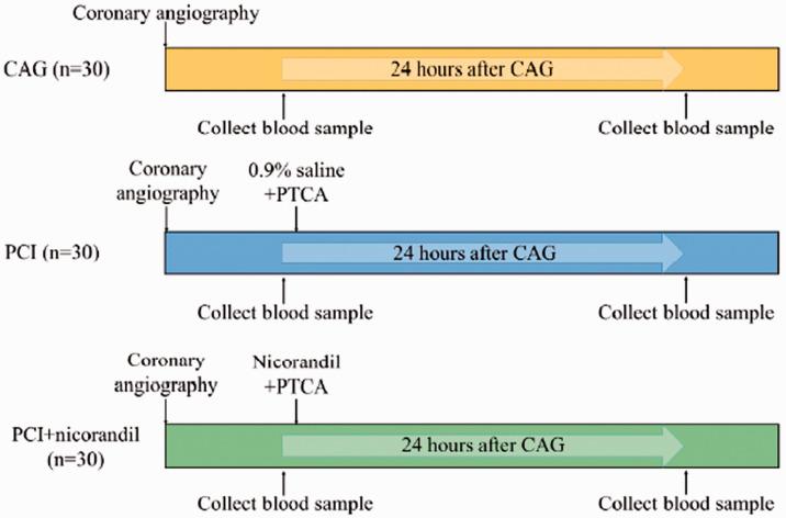 https://cdn.ncbi.nlm.nih.gov/pmc/blobs/23a7/8652181/9a5cc38bf1d1/10.1177_03000605211058873-fig1.jpg