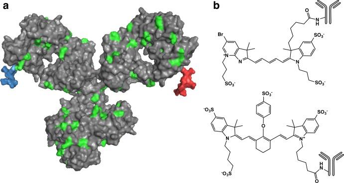 https://cdn.ncbi.nlm.nih.gov/pmc/blobs/23a8/5415873/619fe0baf9c1/mp-2016-010918_0001.jpg