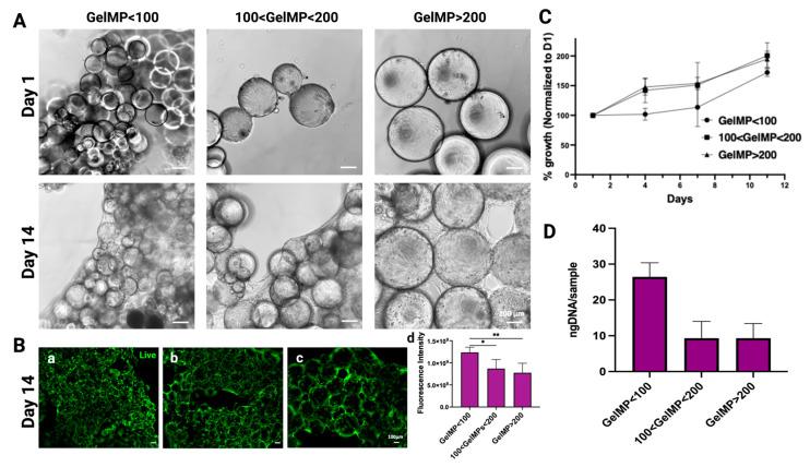 https://cdn.ncbi.nlm.nih.gov/pmc/blobs/23a9/10887759/25c7c30665f1/gels-10-00097-g003.jpg