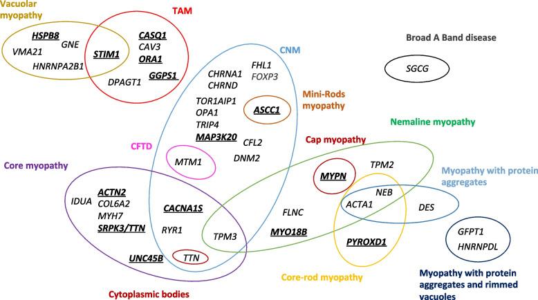 https://cdn.ncbi.nlm.nih.gov/pmc/blobs/23aa/11234750/3c267e84170e/13073_2024_1353_Fig4_HTML.jpg