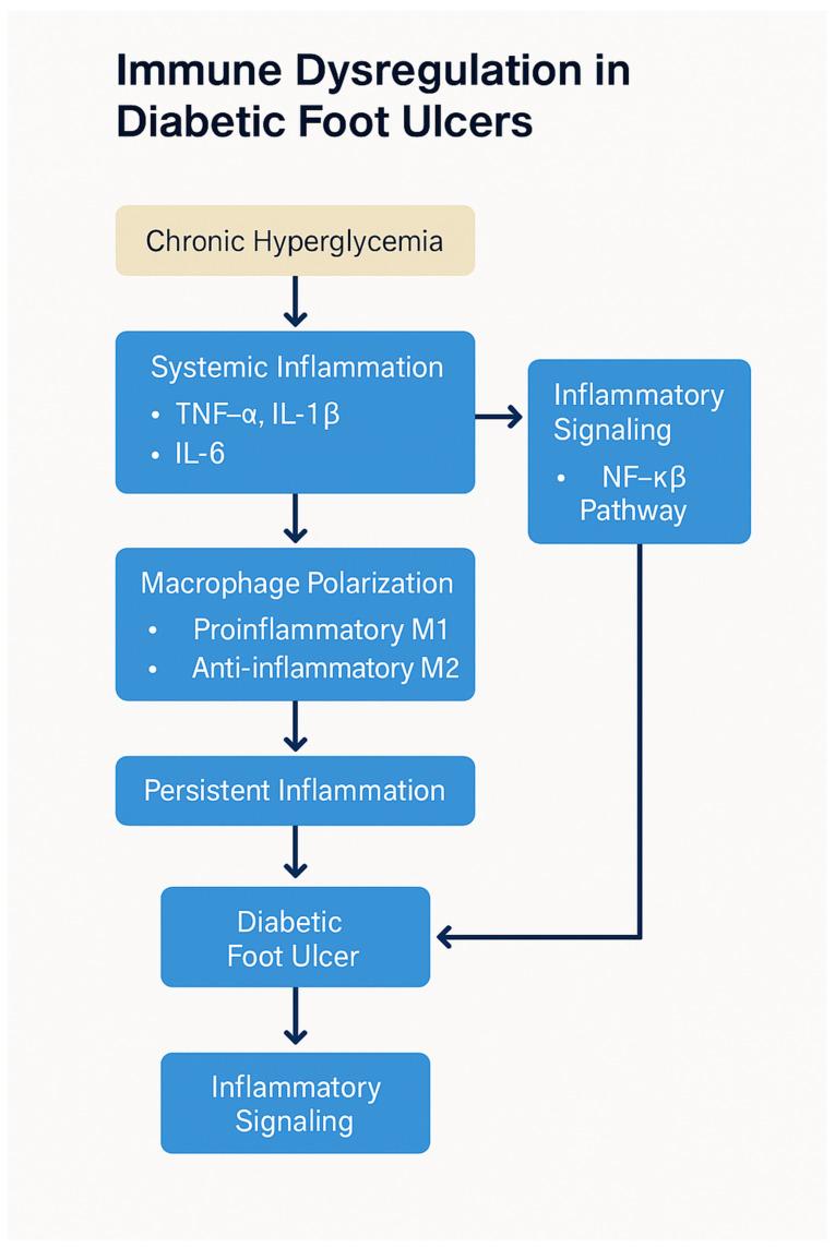 https://cdn.ncbi.nlm.nih.gov/pmc/blobs/23aa/12109115/493c39b672af/biomedicines-13-01076-g003.jpg