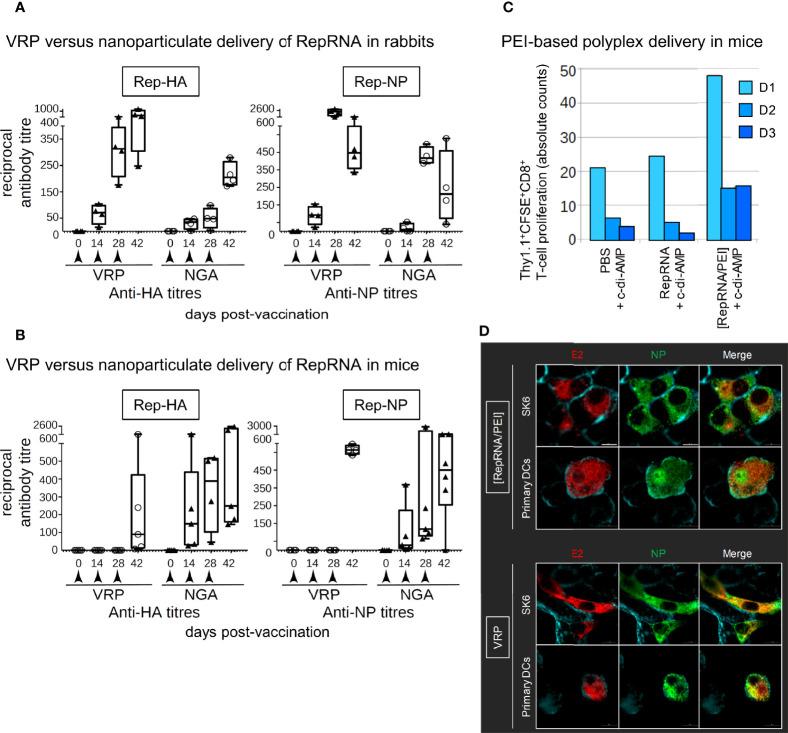 https://cdn.ncbi.nlm.nih.gov/pmc/blobs/23aa/7877248/c9b970f7d109/fimmu-11-622385-g002.jpg