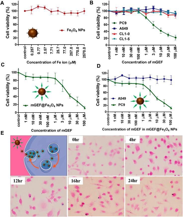 https://cdn.ncbi.nlm.nih.gov/pmc/blobs/23ab/10591449/d7e6fbc48ce2/fbioe-11-1272492-g002.jpg