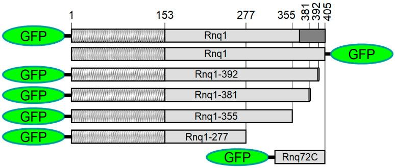 https://cdn.ncbi.nlm.nih.gov/pmc/blobs/23ab/10970677/c166c44a0a71/ijms-25-03397-g001.jpg
