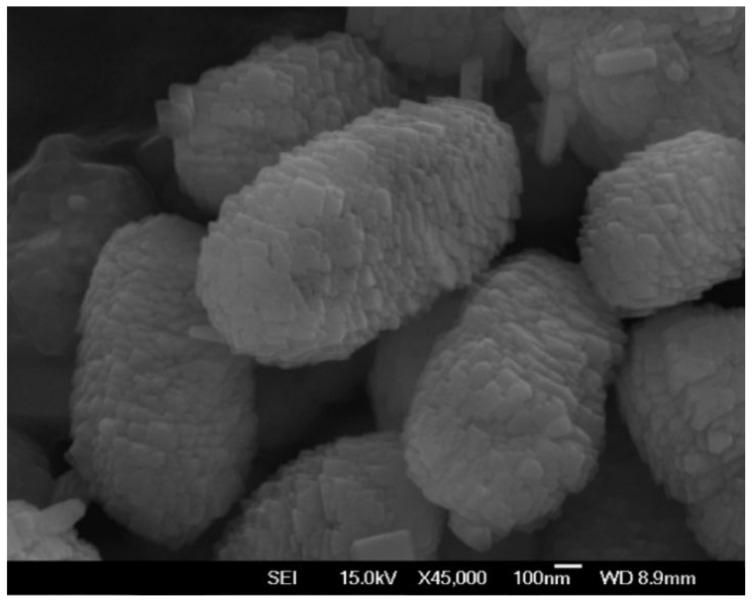 https://cdn.ncbi.nlm.nih.gov/pmc/blobs/23ab/9269393/89dd97322c84/polymers-14-02571-g005.jpg