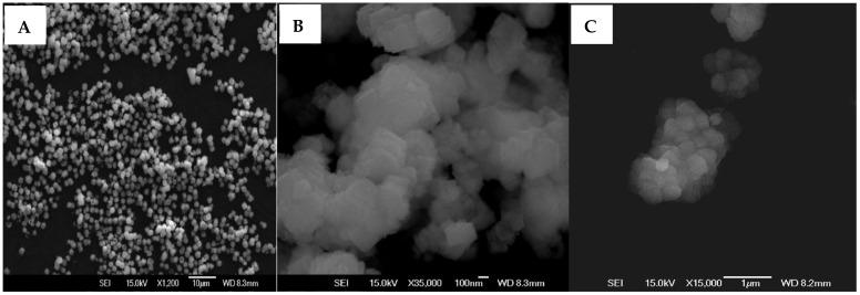 https://cdn.ncbi.nlm.nih.gov/pmc/blobs/23ab/9269393/f1cd0d94e918/polymers-14-02571-g004.jpg