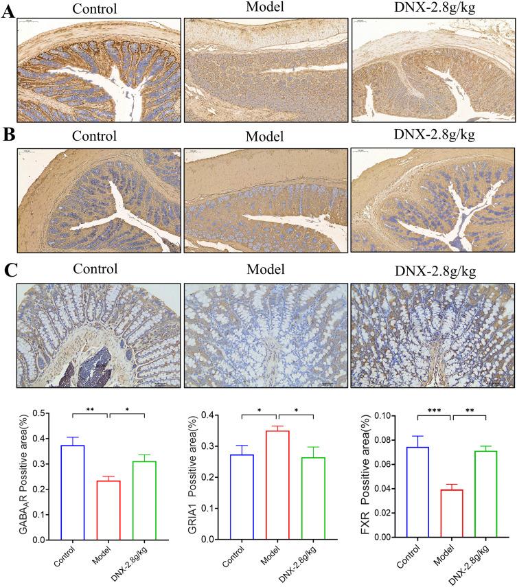 https://cdn.ncbi.nlm.nih.gov/pmc/blobs/23ae/12170816/154d04fa57da/JIR-18-7683-g0008.jpg