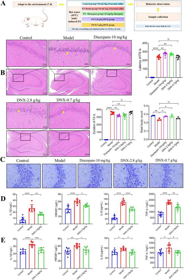 https://cdn.ncbi.nlm.nih.gov/pmc/blobs/23ae/12170816/2b70caed651b/JIR-18-7683-g0002.jpg