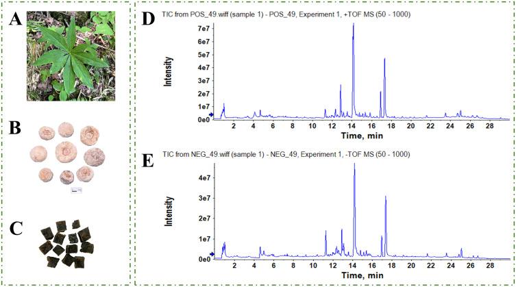 https://cdn.ncbi.nlm.nih.gov/pmc/blobs/23ae/12170816/b6d502480f45/JIR-18-7683-g0001.jpg