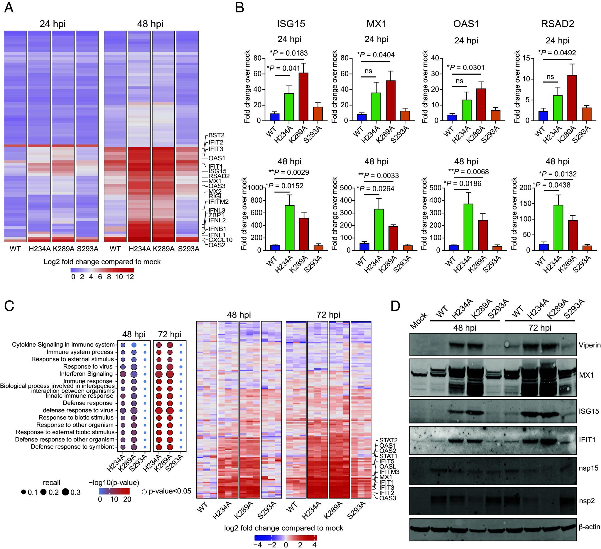 https://cdn.ncbi.nlm.nih.gov/pmc/blobs/23ae/12184426/14a1fd263092/pnas.2426528122fig02.jpg