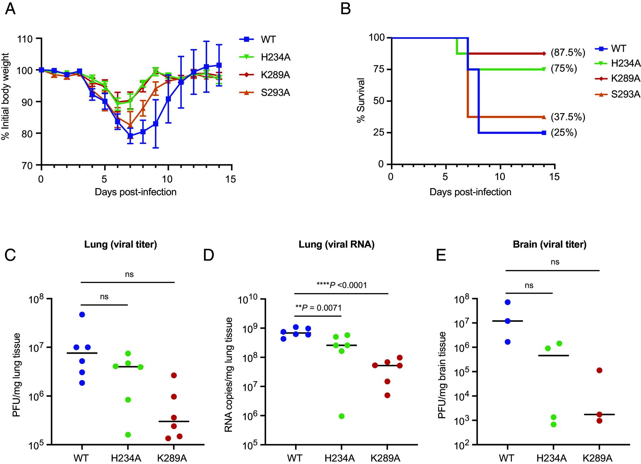 https://cdn.ncbi.nlm.nih.gov/pmc/blobs/23ae/12184426/fcfb8bca73cd/pnas.2426528122fig03.jpg