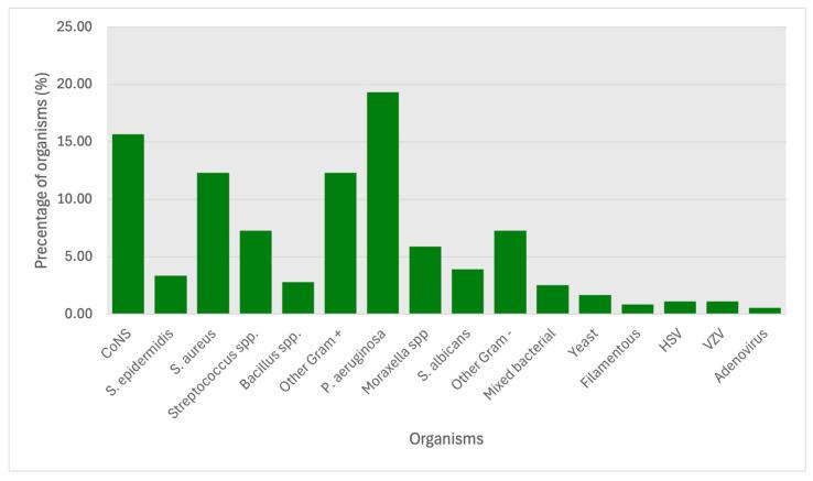 https://cdn.ncbi.nlm.nih.gov/pmc/blobs/23b0/12297931/542bfac03e54/microorganisms-13-01578-g002.jpg