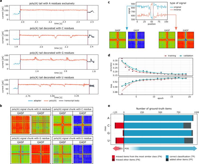 https://cdn.ncbi.nlm.nih.gov/pmc/blobs/23b2/11920217/d66a18e0aa69/41467_2025_57787_Fig1_HTML.jpg